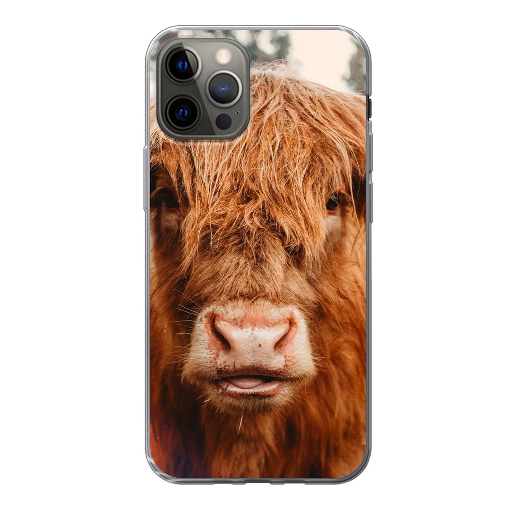 MuchoWow Handyhülle Schutzhülle Hülle für iPhone 12 Pro Kuh - Schottischer Hochländer - Hörner - Braun - Landschaft Silikon Softcase Handy ...