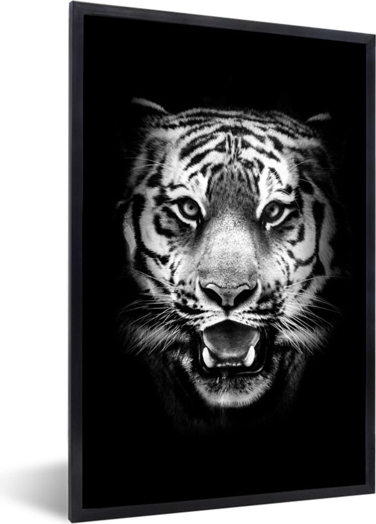 MuchoWow Gerahmtes Poster Tigerkopf vor schwarzem Hintergrund - schwarz und weiß 40x60 cm - Poster mit Schwarzem Bilderrahmen Wandposter Rahmen ...