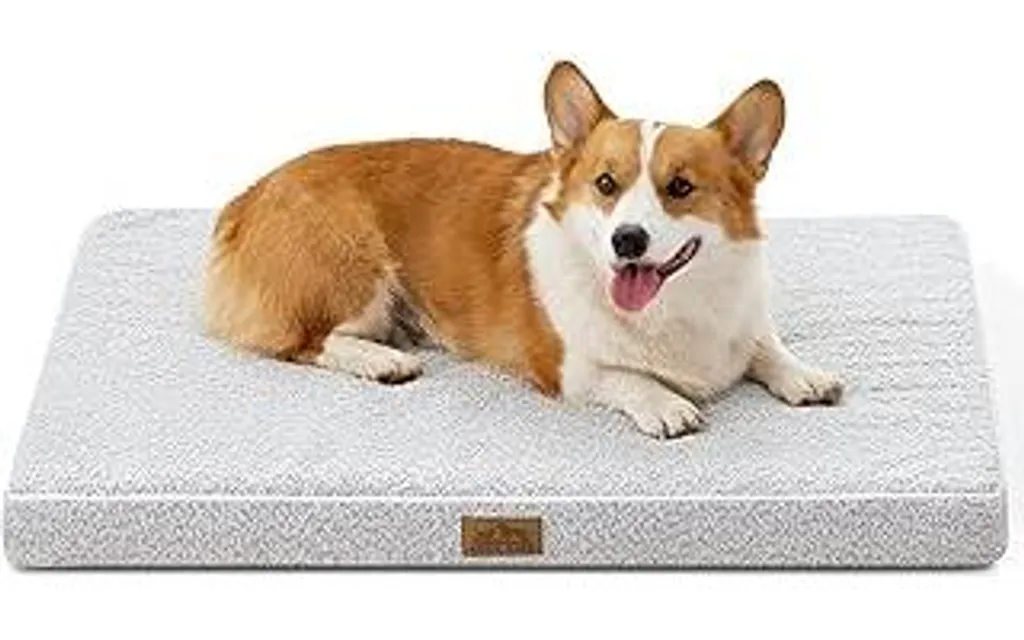 Cuccia Ortopedica Cani Grandi Lavabile 91x68 cm | Antiscivolo Grigio