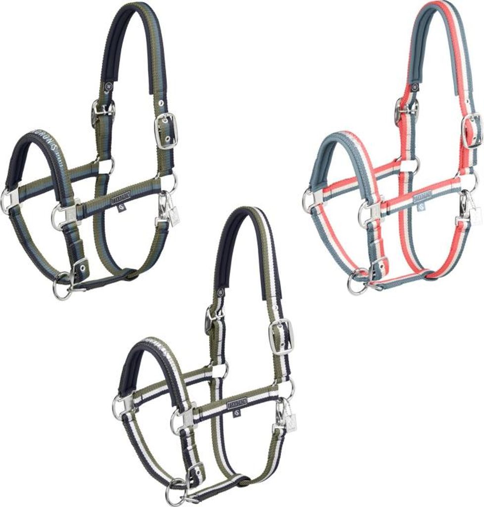 Eskadron Classic Sports Halfter " DOUBLE PIN ", Produktbild 
