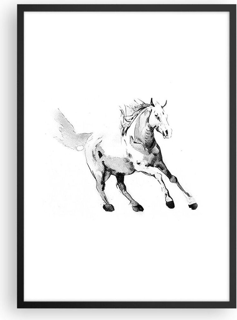 Gerahmtes Poster - Schwarzer Rahmen - Pferd Galopp Tier - 50x70 cm - Wand Bild - Wanddeko - Wandbilder - Kunstposter - Wandposter - Bilderrahmen - ...