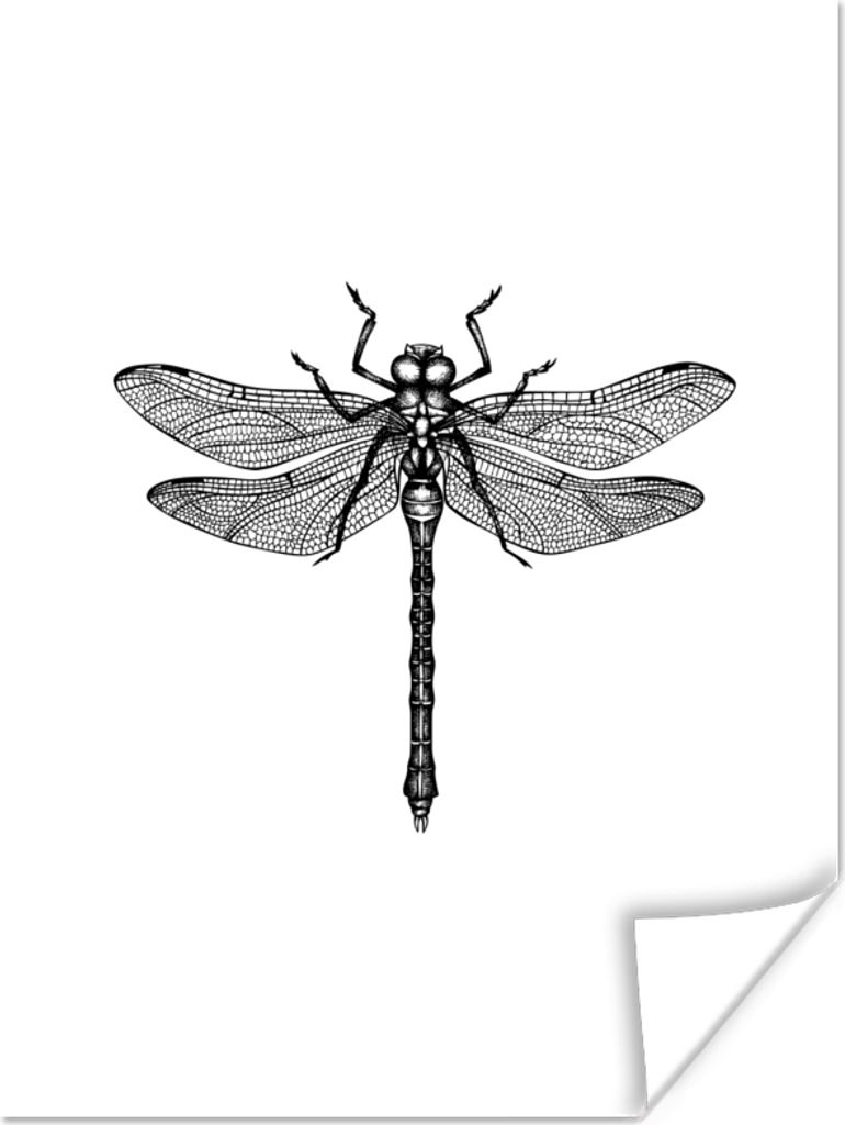 MuchoWow Poster Libelle - Insekten - Retro - Schwarz und weiß 120x160 cm - Wandbilder