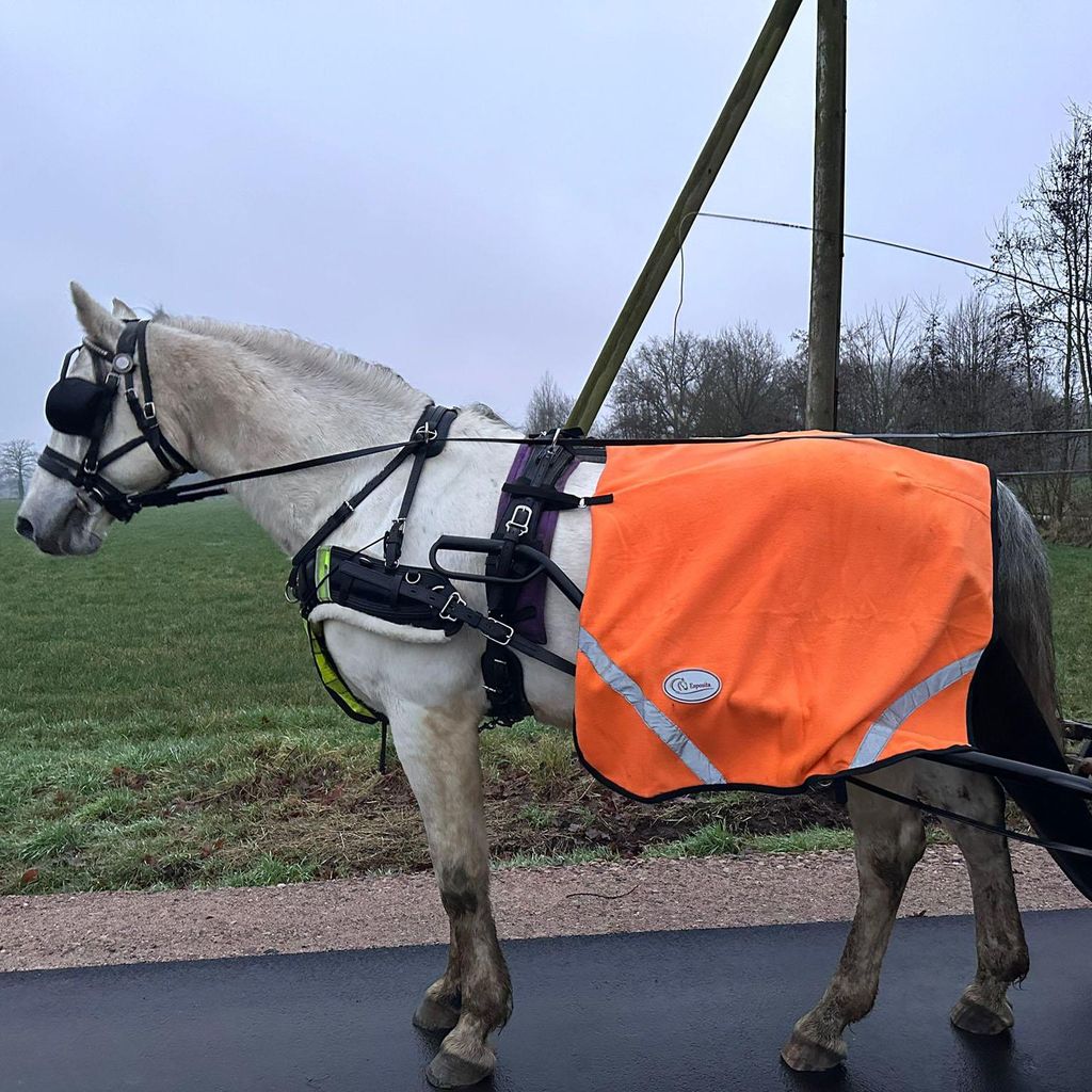 Esposita Fahrdecke Nierendecke - Fahrnierendecke aus Fleece - Orange mit Reflexstreifen Cob