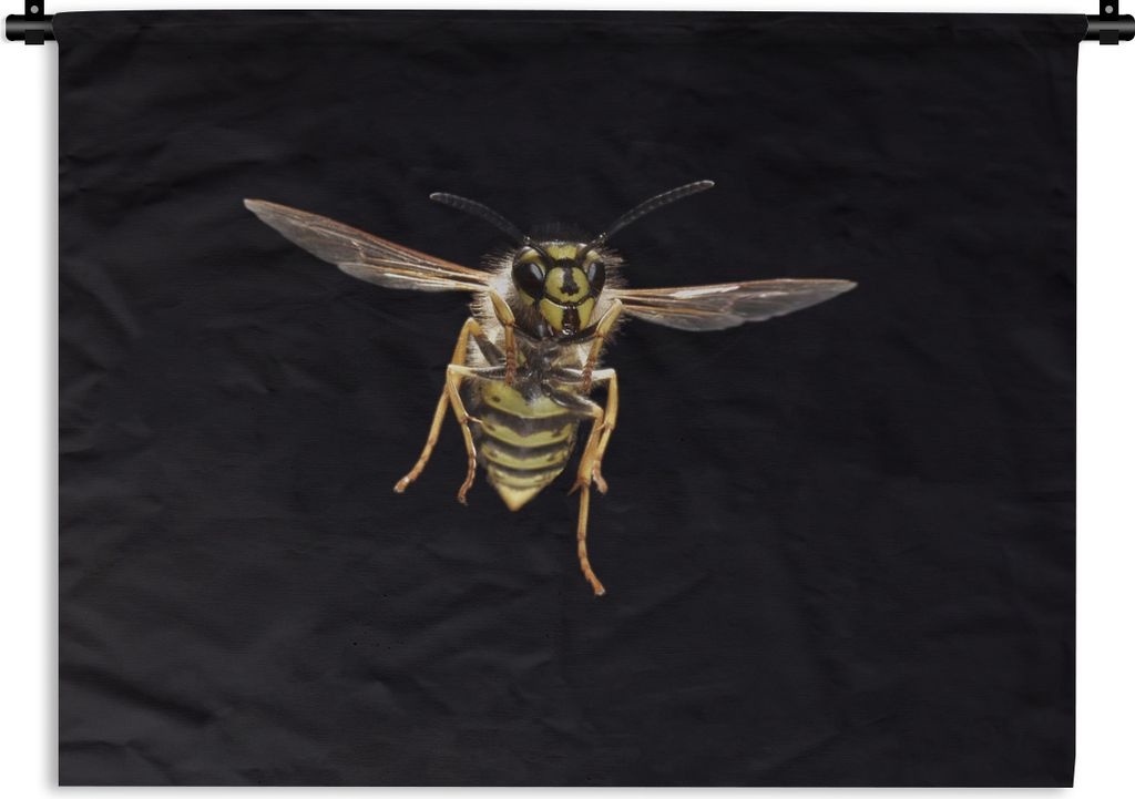 MuchoWow Wandteppich Wandbehang Wespe - Insekten - Porträt 60x45 cm Tapisserie Dekoration Wandtuch - Das Schlafzimmer