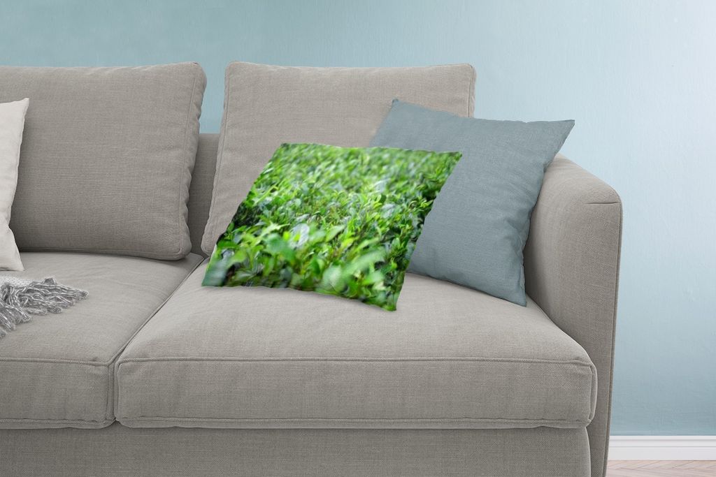 MuchoWow Zierkissen Sofakissen Wohnzimmer Dekokissen 60x40 cm Grünpflanzen auf tropischem Boden - Kopfkissen - Polster mit Foto
