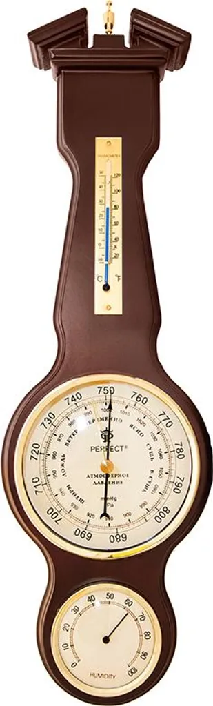 Nettoyeur Vapeur Parfait PW-984 1 Multifonction pour Sols et Surfaces