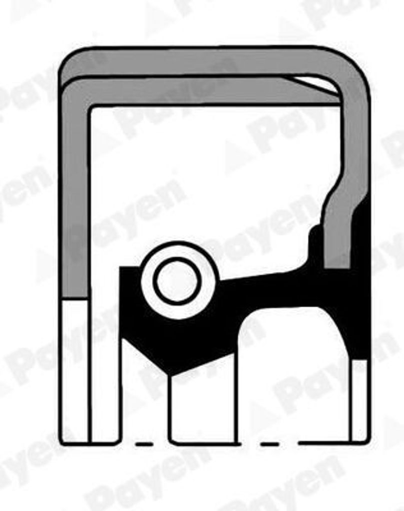 PAYEN Wellendichtring Radnabe NJ069 Vorne für TOYOTA HILUX VI Pick-up (N1) NBR (Nitril-Butadien-Kautschuk) 50mm 68mm