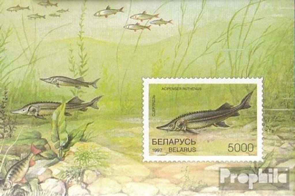 Briefmarken Weißrussland 1997 Mi Block15 (kompl.Ausg.) postfrisch Fische