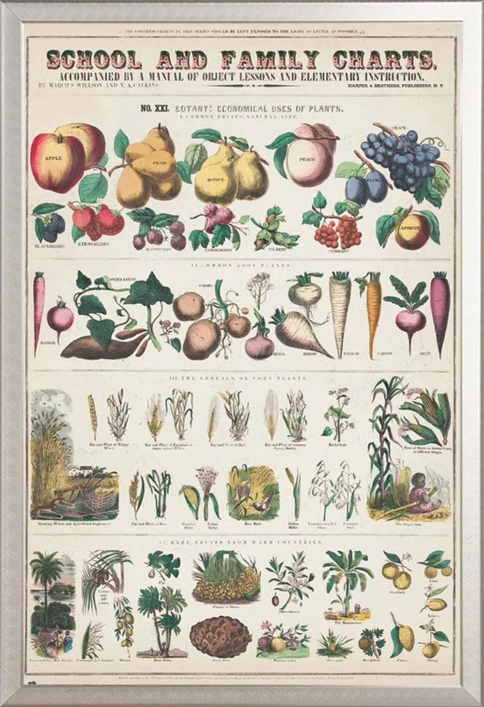 Poster Frutta e Verdura per Bambini: Cornice Argento Shinsuke Maxi - 1