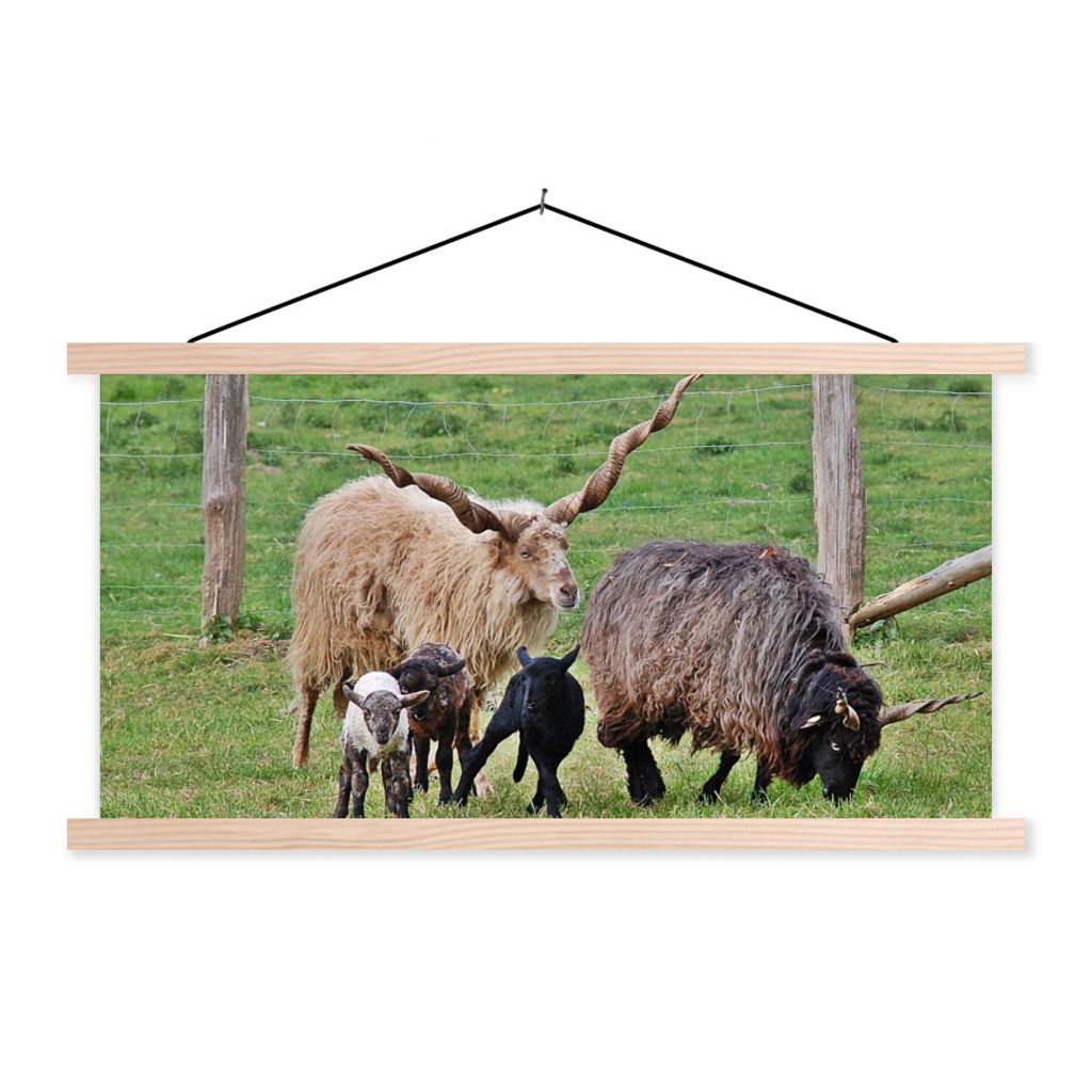 MuchoWow Textilposter Schaf - Gras - Lamm - Horn 120x60 cm mit holzfarbenen Rahmen - Klemmleiste