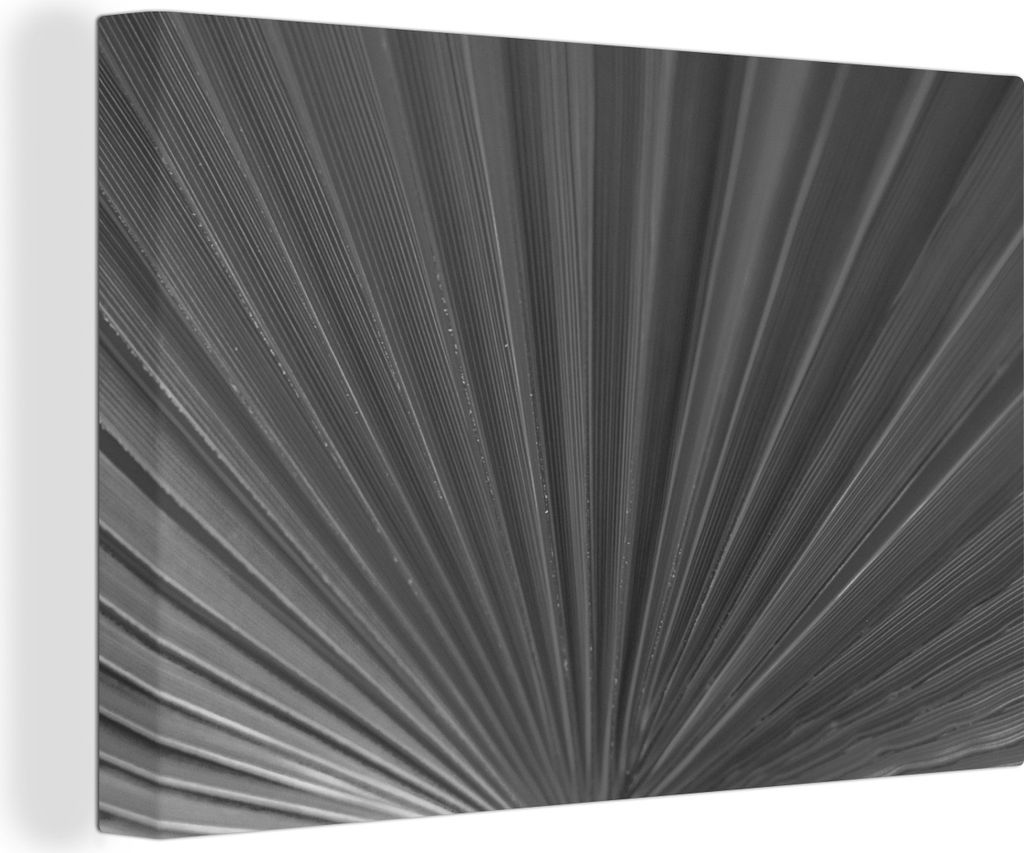 OneMillionCanvasses - Leinwandbilder - 150x100 cm, Nahaufnahme des Blattes einer Palme - schwarz-weiß, Wandbilder Kunstdruck Wanddekoration