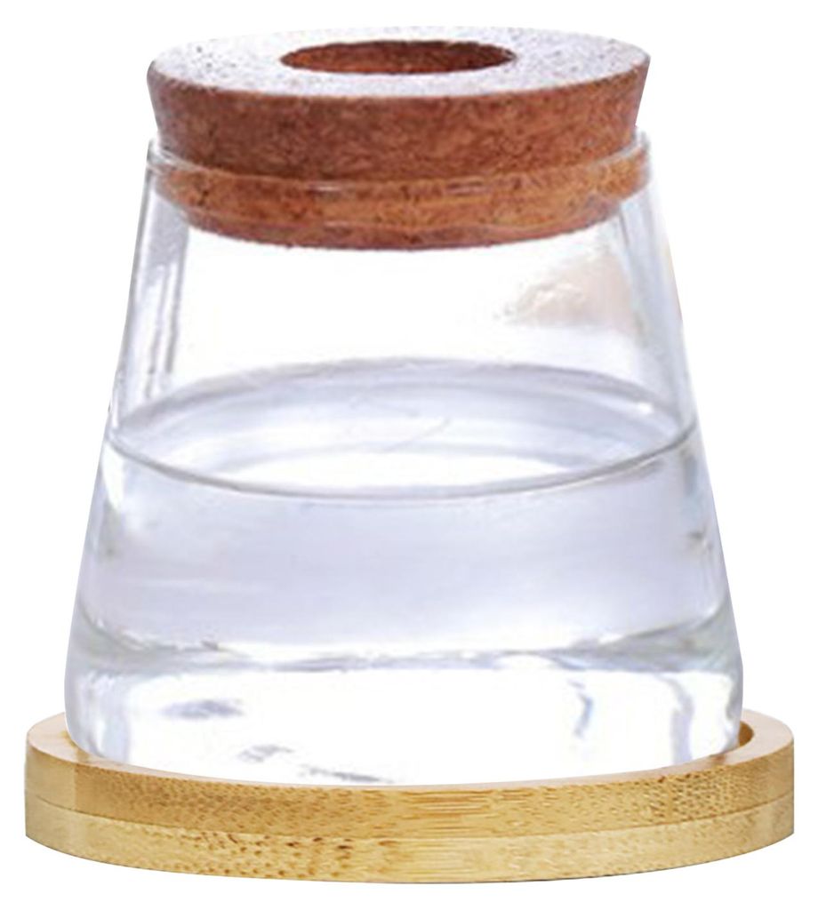 Vermehrungsstation aus Glas mit Holzdeckel, Tischvase für Hydrokulturpflanzen, Luftpflanzen und Stecklinge
