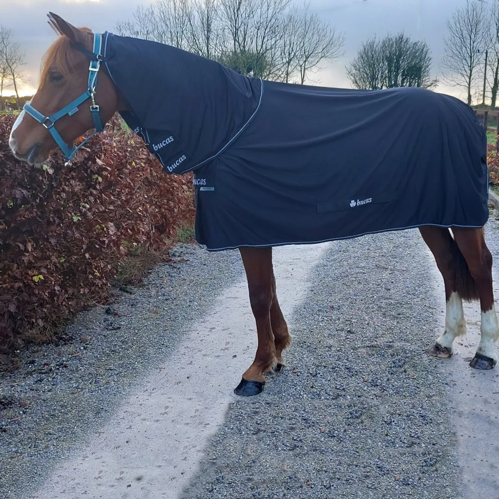 Bucas Power Cooler Nero/Argento: La Coperta 0g per il tuo Campione