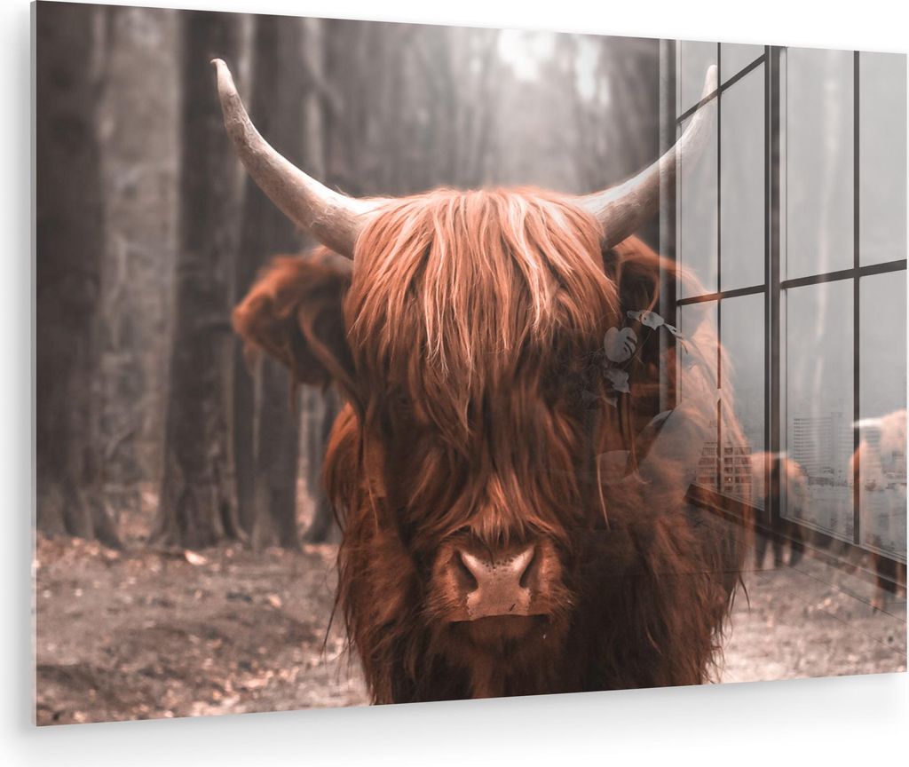 MuchoWow Glasbilder - Bilder auf Wandbild - Foto auf Glas Schottisches Hochlandrind - Wald - Kuh - Tiere - Natur 90x60 cm Wanddekoration aus Glas -...