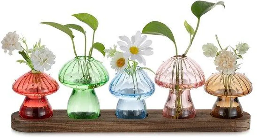 Système hydroponique 5 pots pour bouturage facile sans terreau intérieur