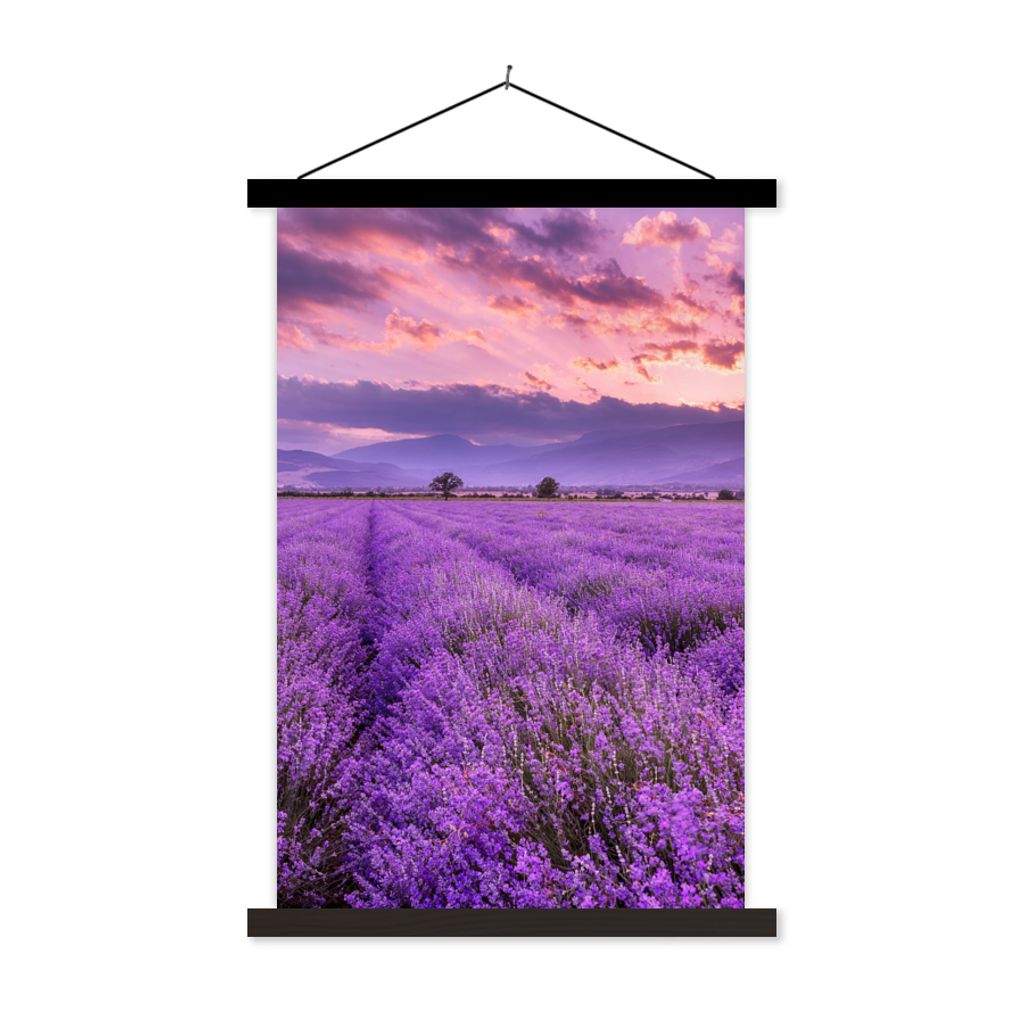 MuchoWow Textilposter Lavendel - Lila - Blumen - Feld 40x60 cm mit schwarzem Rahmen - Wanddekorationen