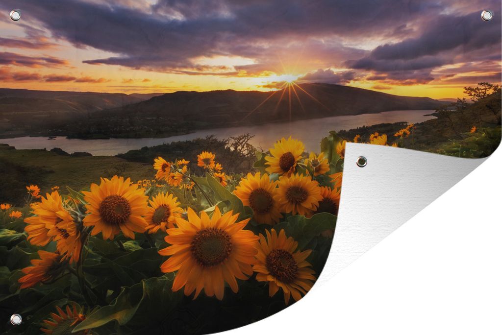 MuchoWow 120x80 cm Outdoor-Poster Gartendeko Sichtschutz Garten Poster für den Garten Sonnenblumenfeld in den Bergen