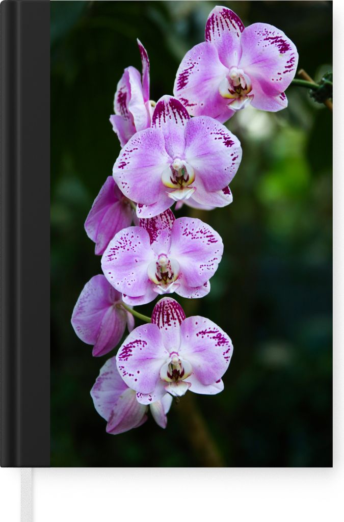 MuchoWow Notizbuch Tagebuch Haushaltsbuch Notebook A5 Blühende Orchideen - Notizblock - Notizheft - Notebook - Schreibblock - Papier
