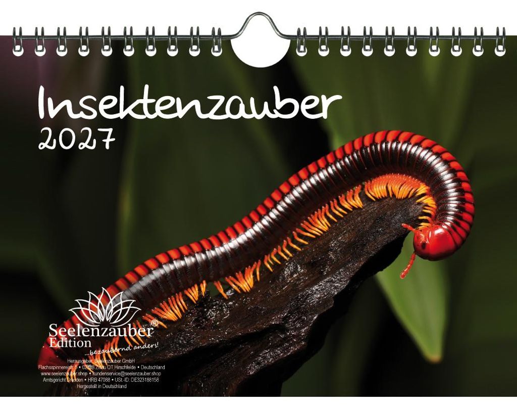 Insektenzauber DIN A5 Kalender für 2027 - Seelenzauber