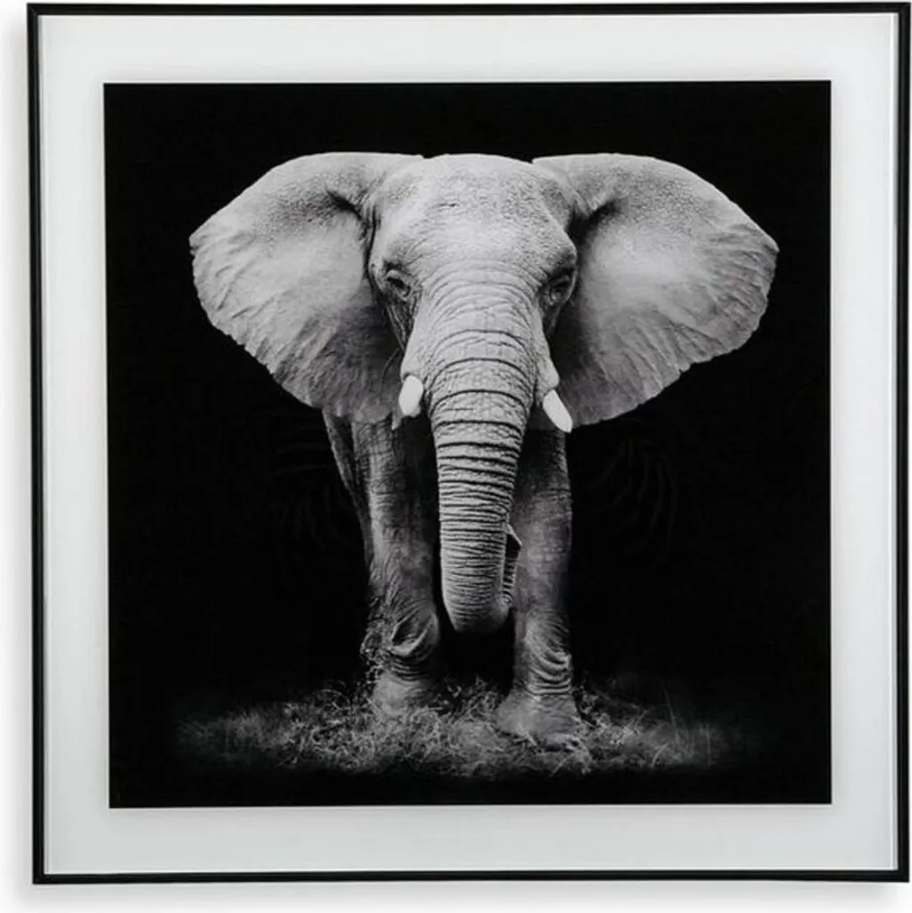 Tableau Éléphant 50x50 cm : Habillez vos Murs Vides avec Élégance