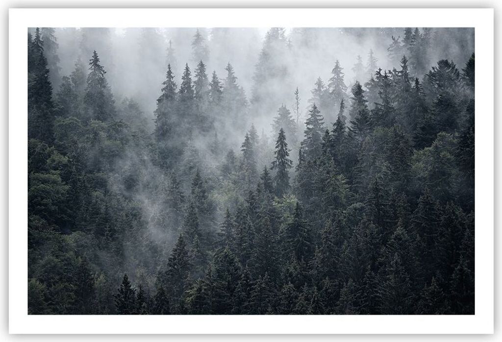 Poster - Poster ohne Rahmen - Wald Baum Natur - 91,5x61 cm - Wand Bild - Wanddeko - Wandbilder - Kunstposter - Wandposter - Bilder - Kunstdruck - W...