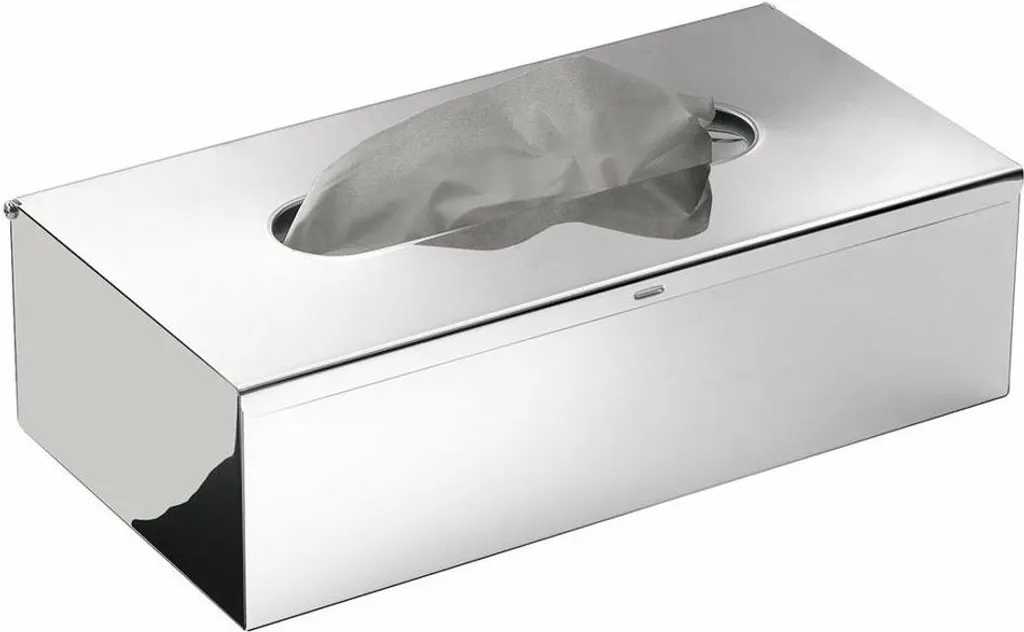 Cache boîte à mouchoirs inox poli Sapho 2308 robuste et esthétique
