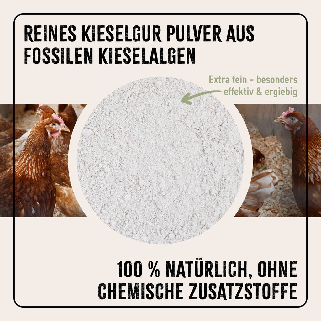 Produktbild von HÜHNER Land Kieselgur 4,2 Kg – Reines Naturpulver Für Hühnerstall, Inkl. Profi-Zerstäuber, Laborgeprüft, Made In Germany