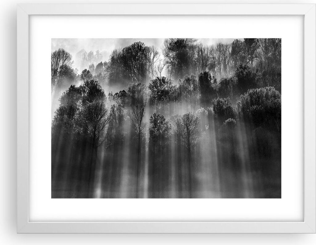Gerahmtes Poster - Weißer Rahmen - Bäume drinnen Nebel - 40x30 cm - Wand Bild - Wanddeko - Wandbilder - Kunstposter - Wandposter - Bilderrahmen -...