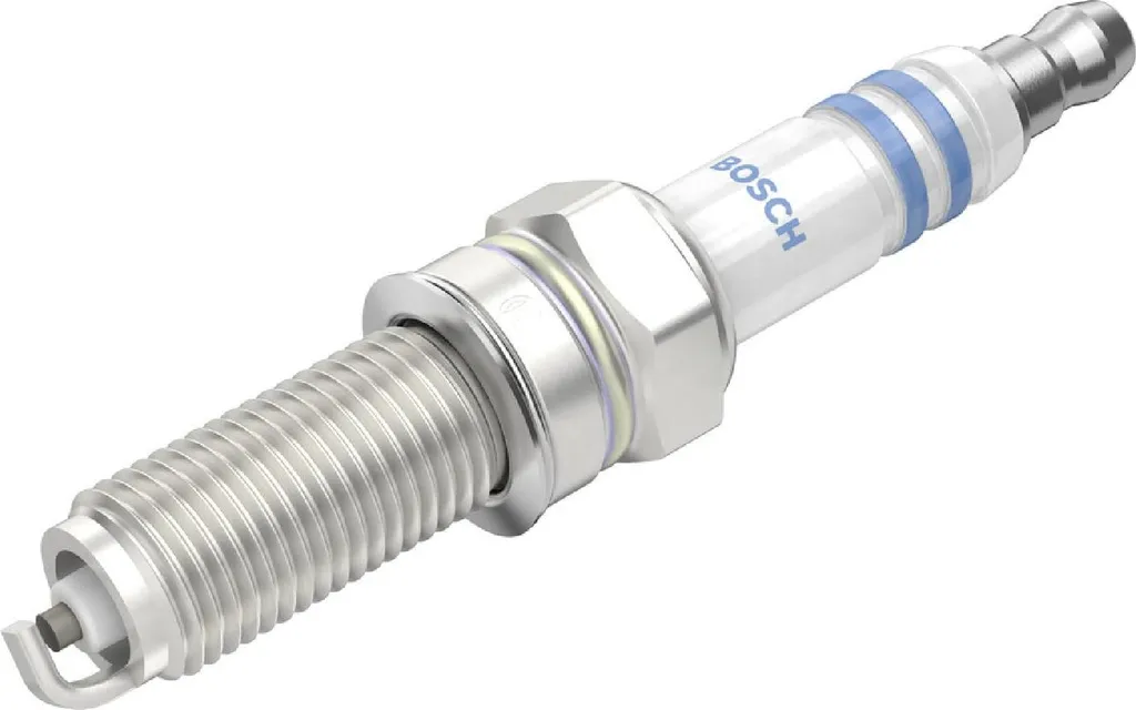 Candela Bosch per - 4