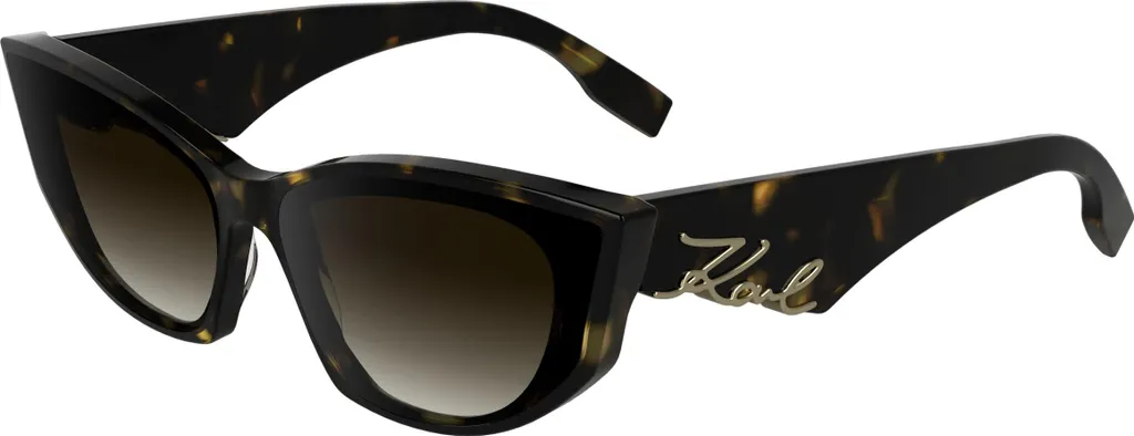 Lunettes de soleil Karl Lagerfeld KL6162S 242 Accessoire Mode Chic Noir