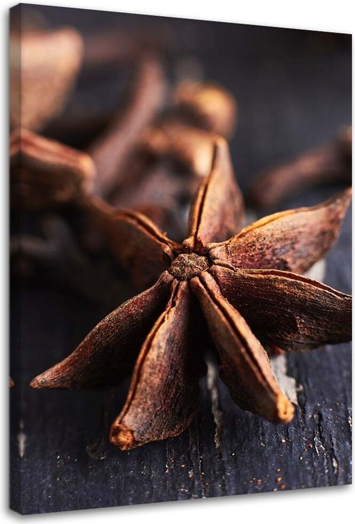 Leinwandbild sternanis 70x100 cm Feeby braun wandbild bereit zum aufhängen