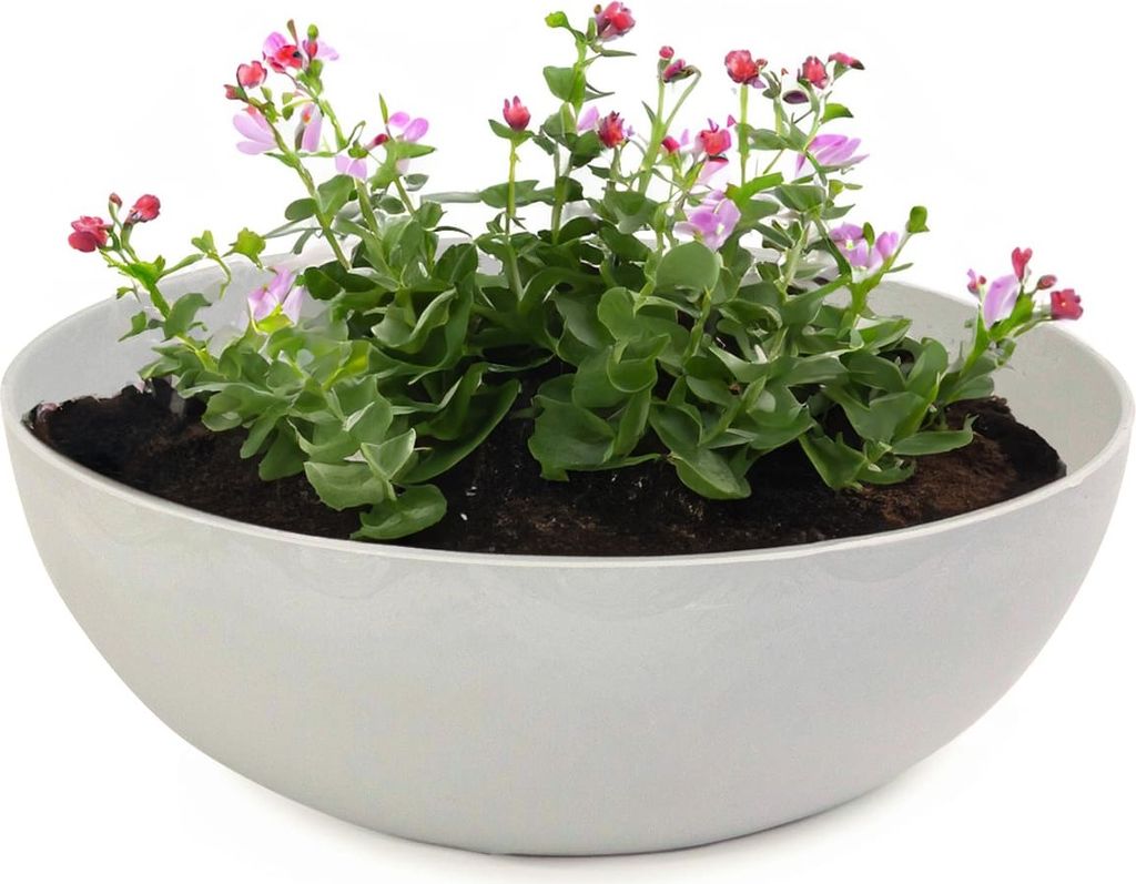 Pflanzschalen für draussen Dekoschalen rund beige grau 20 cm