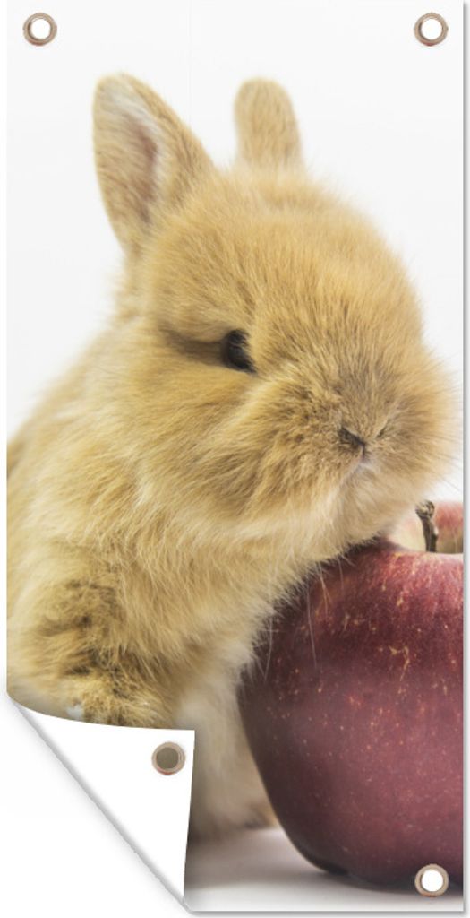 MuchoWow 80x160 cm Outdoor-Poster Gartendeko Sichtschutz Garten Poster für den Garten Kaninchen - Baby - Apfel