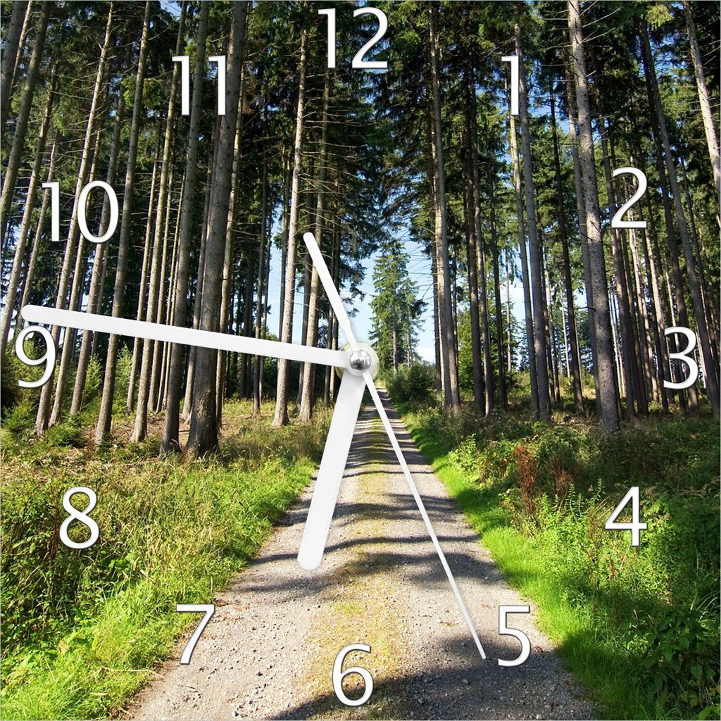 Wallario Design Wanduhr Stiller Waldweg aus Echtglas, Größe Produktbild 