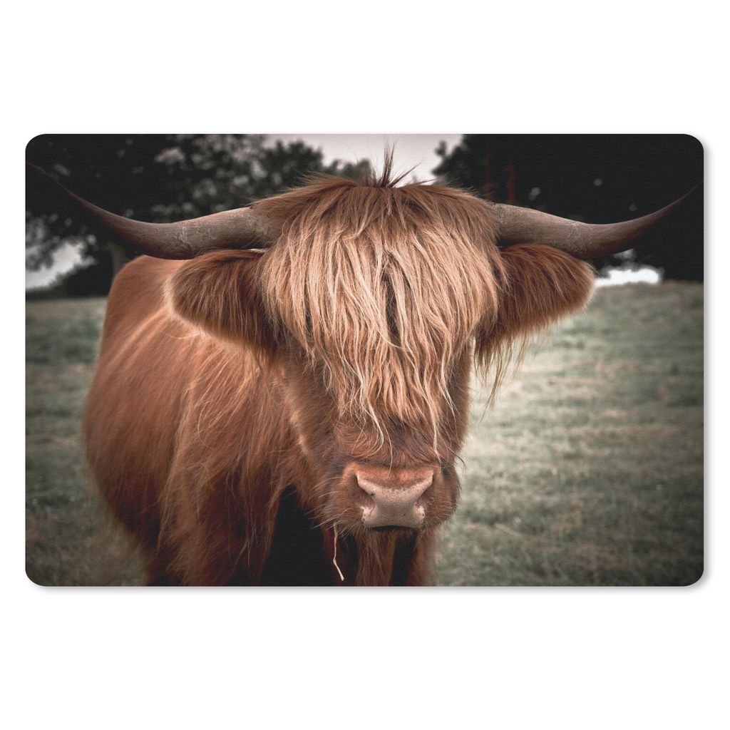 MuchoWow Schreibtischunterlage Schottischer Highlander - Baum - Gras 60x40 cm - XXL Mauspad - Großes Mauspad