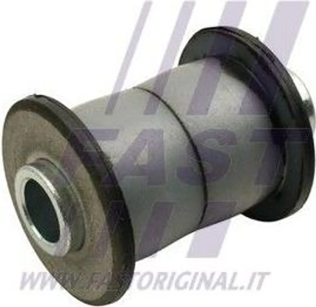 FAST FT13713 Cuscinetto, molla a balestra OE 2997450 compatibile con Daily