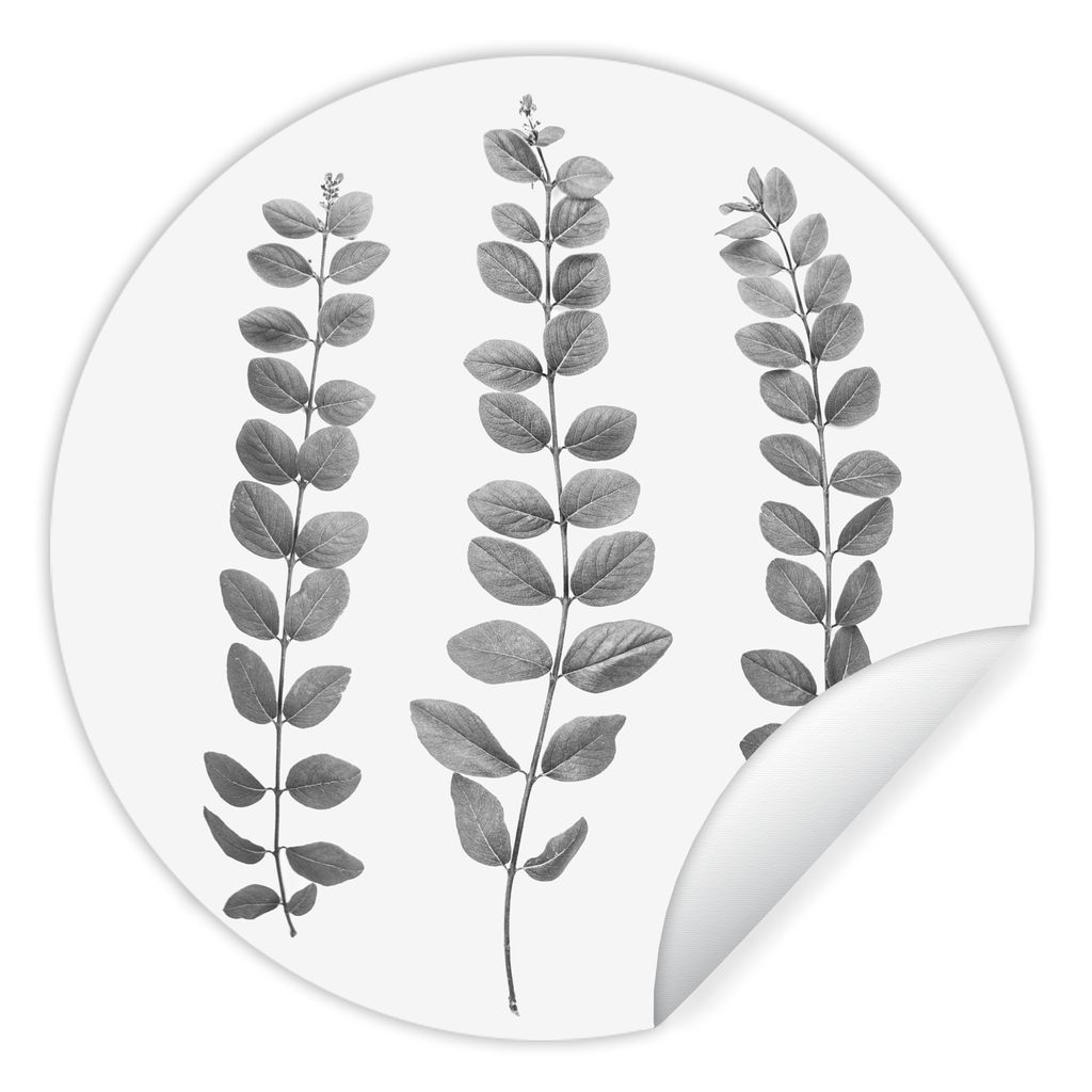 MuchoWow Runde Wandtattoo - Wandsticker Tapete Aufkleber Pflanzen - Blätter - Natur - Weiß Ø 50 cm Selbstklebend und Repositionierbar - Wandau...