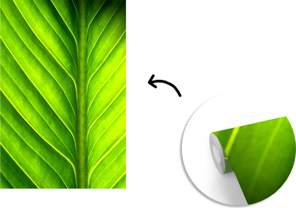 MuchoWow Fototapete für Wohnzimmer oder Schlafzimmer Wandtapete Vinyl Motivtapete Foto eines hellgrünen botanischen Blattes - 190x280 cm - Küche