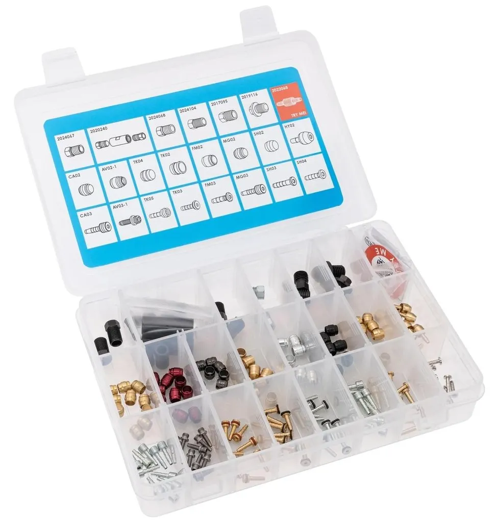 Assortiment Elvedes pour Freins à Disque avec Inserts et Olives 100 pcs - 2