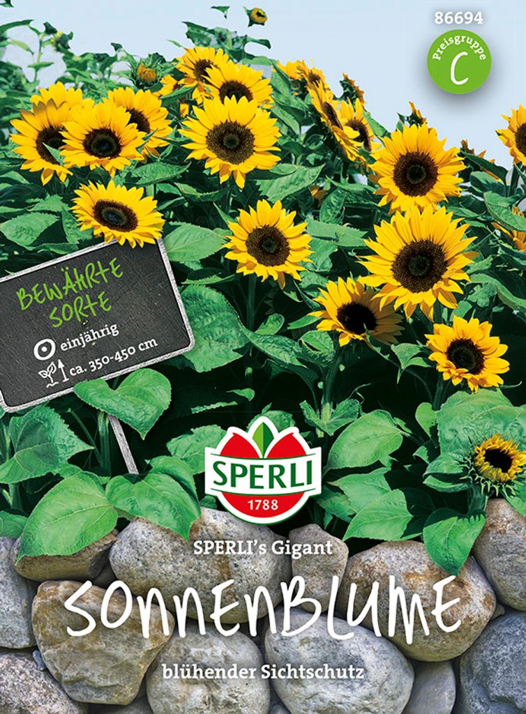 Sonnenblume Gigant | Sonnenblumensamen von Sperli