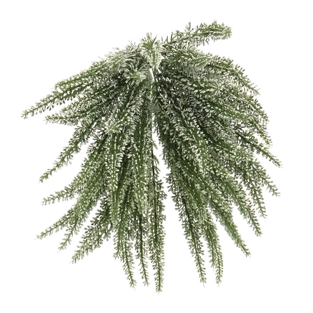 monsteras kaufen Monstera No.17, 80cm – Green Me Up main image 0