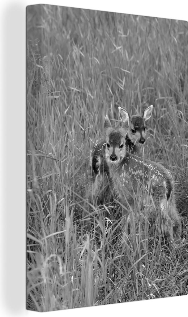 OneMillionCanvasses - Leinwandbilder - 90x140 cm, Junger Hirsch im Feld - schwarz und weiß, Wandbilder Kunstdruck Wanddekoration - Wandschmucke ...