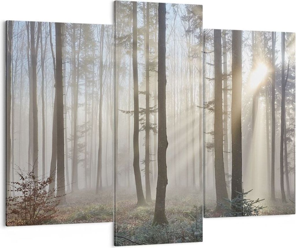 Bild auf Leinwand - Leinwandbild - Wald Baum Natur - Produktbild 