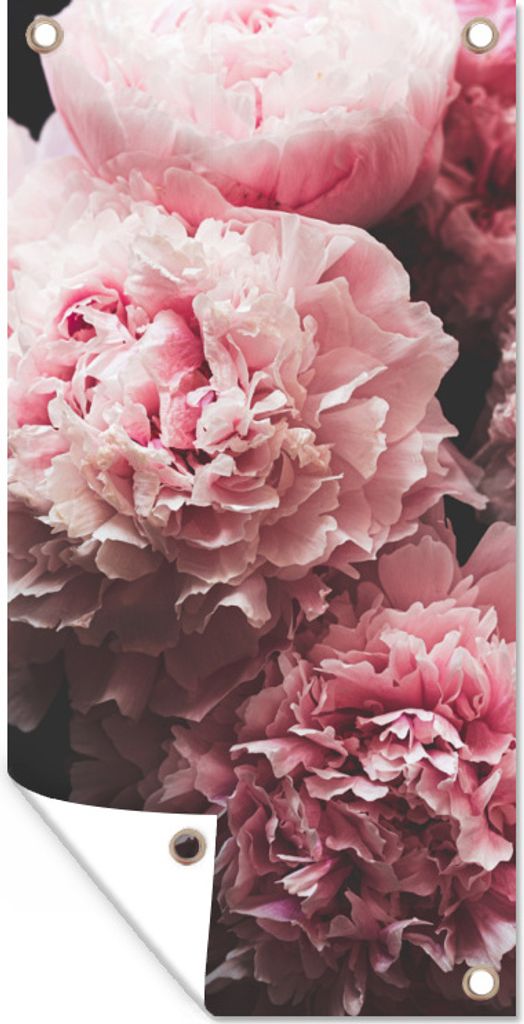 MuchoWow 40x80 cm Outdoor-Poster Gartendeko Sichtschutz Garten Poster für den Garten Blumenstrauß aus rosa Pfingstrosen