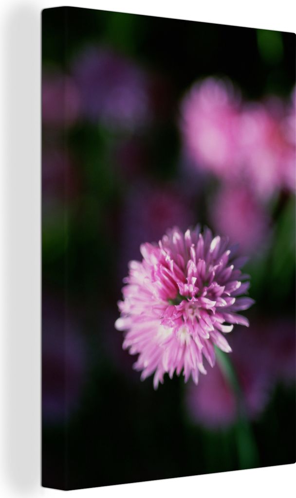 OneMillionCanvasses - Leinwandbilder - 90x140 cm, Blüte eines Schnittlauchgewächses, Wandbilder Kunstdruck Wanddekoration - Wandschmucke - Schl...