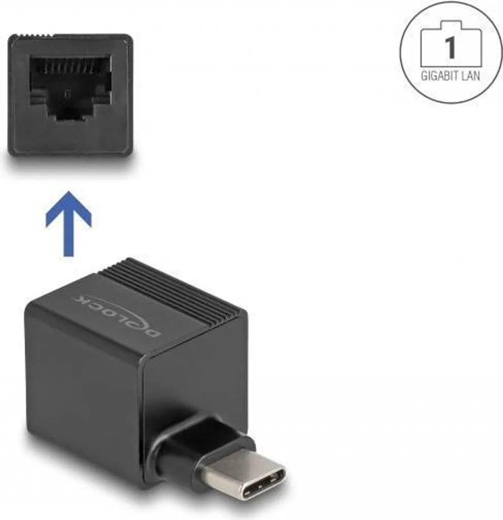 Delock 66462 Adaptateur USB-C vers Ethernet Gigabit LAN Noir Compact