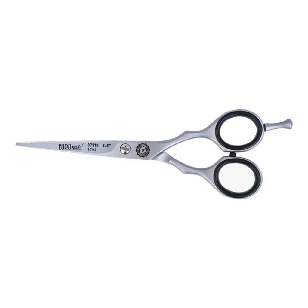 Ciseaux de Coiffure Eurostil Inox pour Entretenir sa Coupe à la Maison