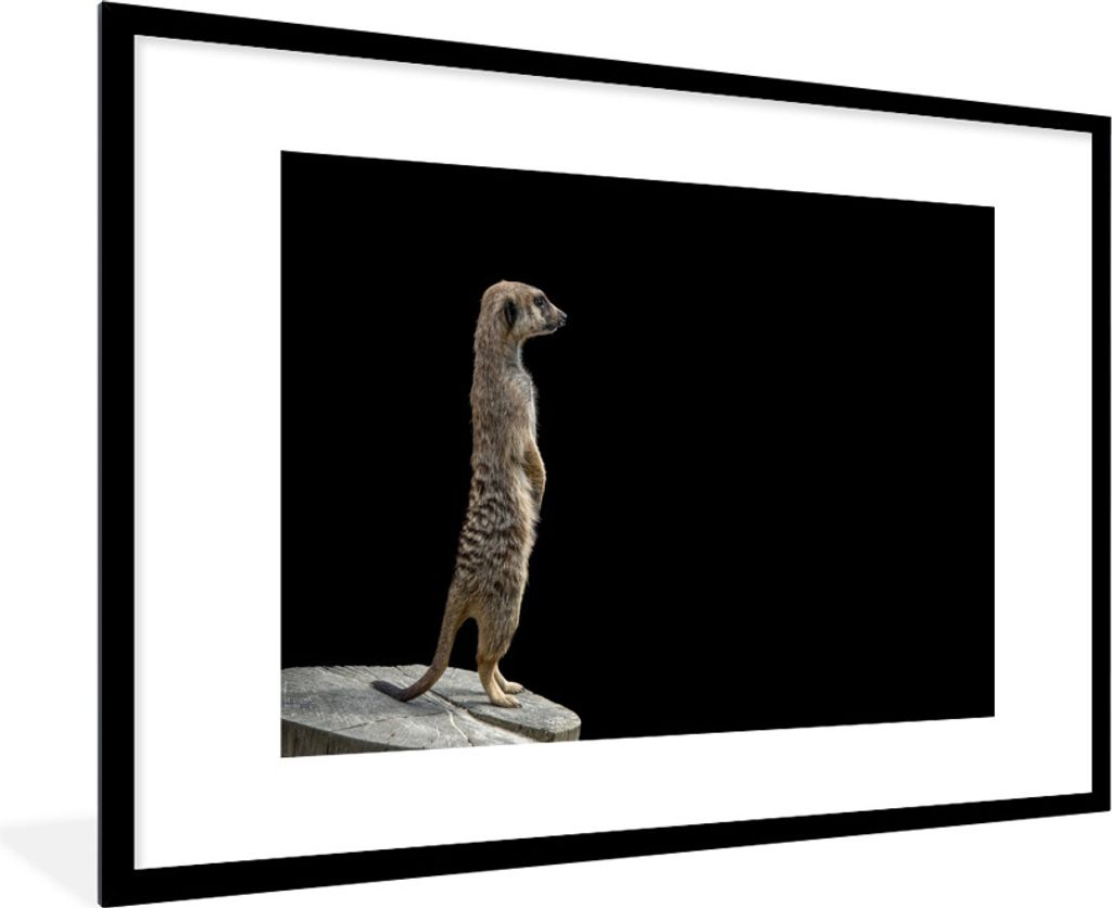 MuchoWow Gerahmtes Poster Erdmännchen - Wilde Tiere - Schwarz 90x60 cm - Poster mit Schwarzem Bilderrahmen Wandposter Rahmen Foto Bilder - Wandd...