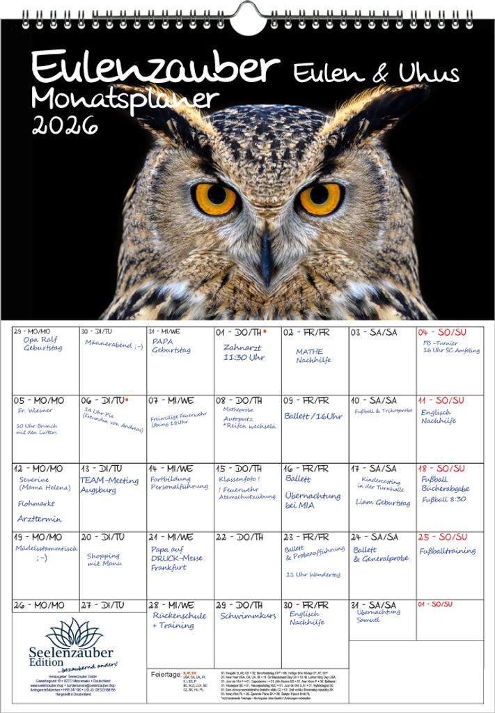 Eulenzauber Eulen und Uhus Planer DIN A3 Kalender für 2026 - Seelenzauber
