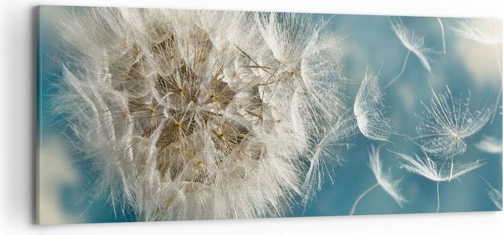 Bild auf Leinwand - Leinwandbild - Baby Sommer Pflanze - 120x50cm - Wand Bild - Wanddeko - Leinwanddruck - Bilder - Kunstdruck - Wanddekoration - L...